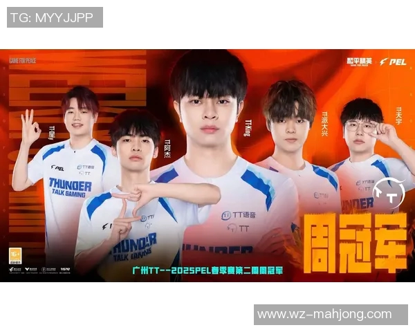 2026电竞新闻和平精英TES战队整体压制战术深度解析与实战应用探讨